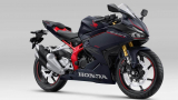 New-CBR250RR